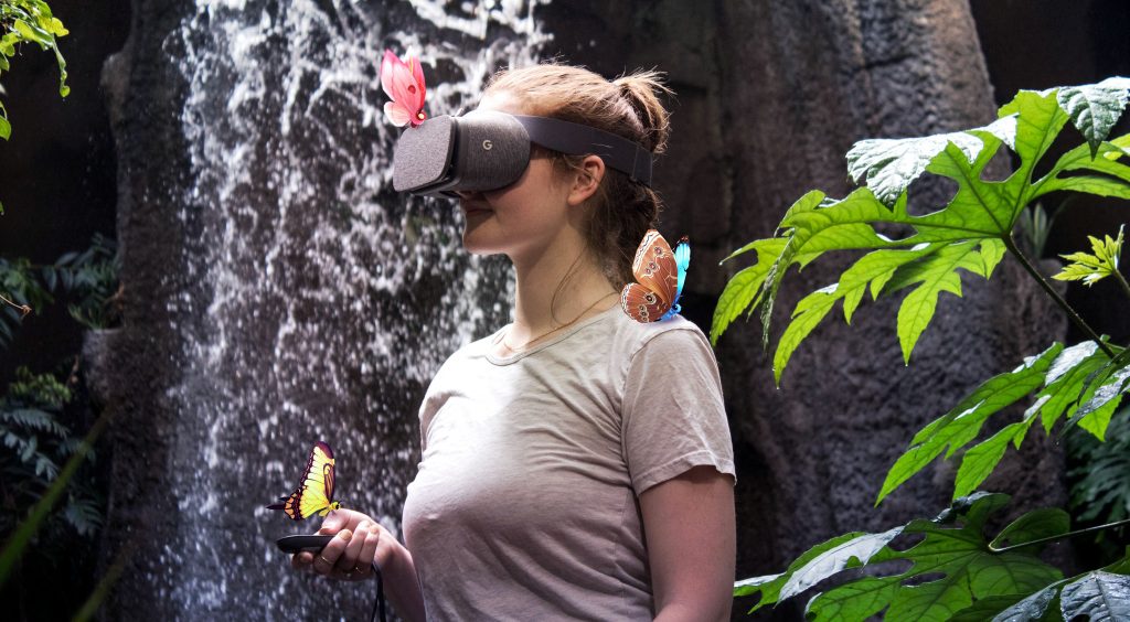Flutter-VR-Rainforest-Photoshoot